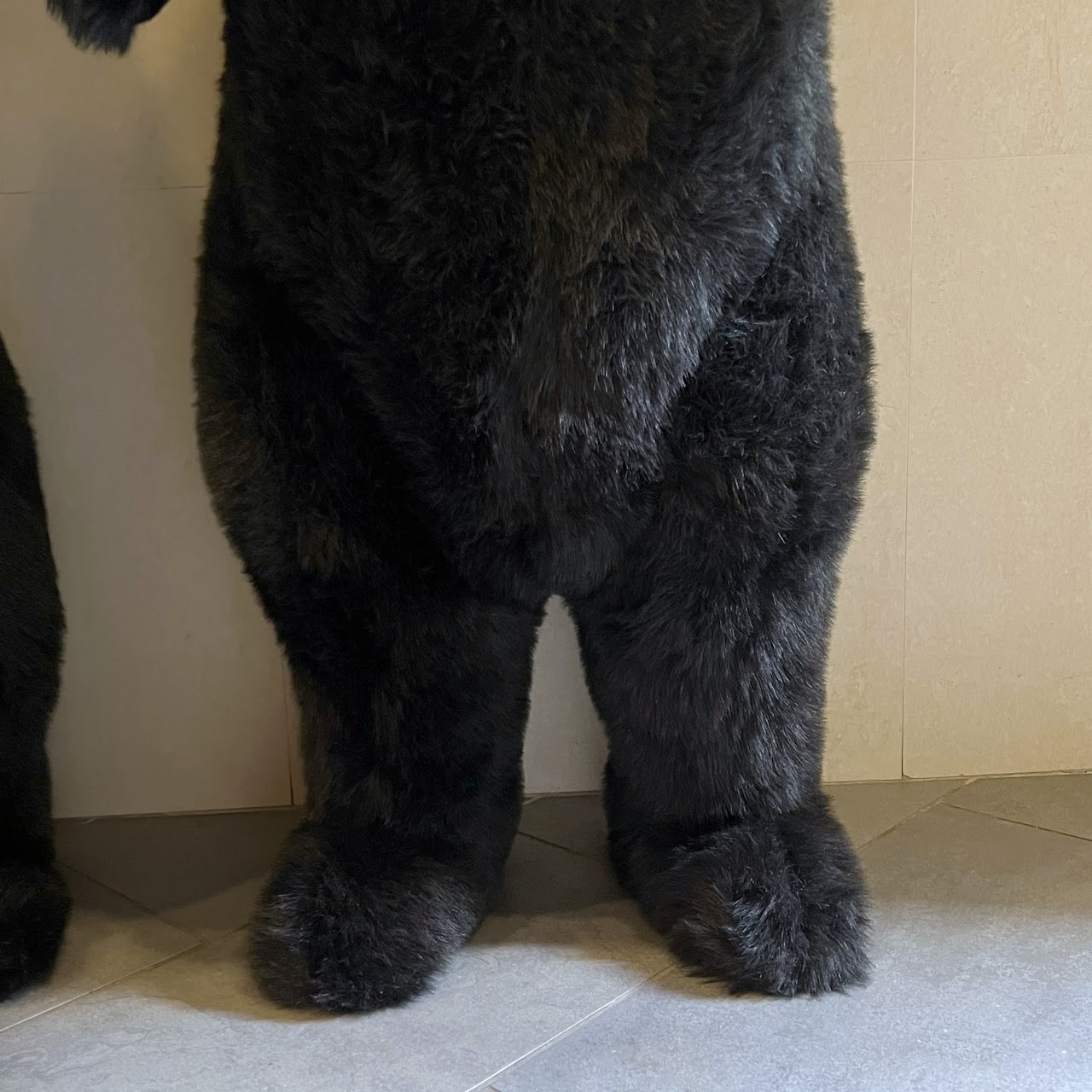 Ditz Designs Life Size Standing Black Bear Trio