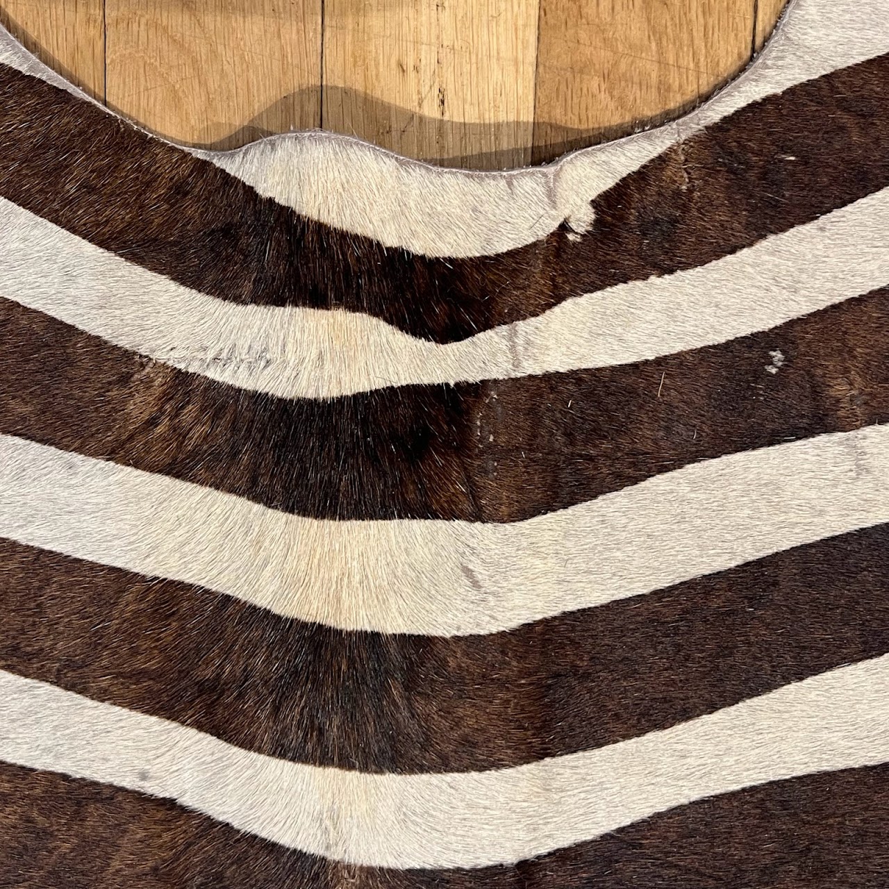 Zebra Pattern Cowhide Area Rug