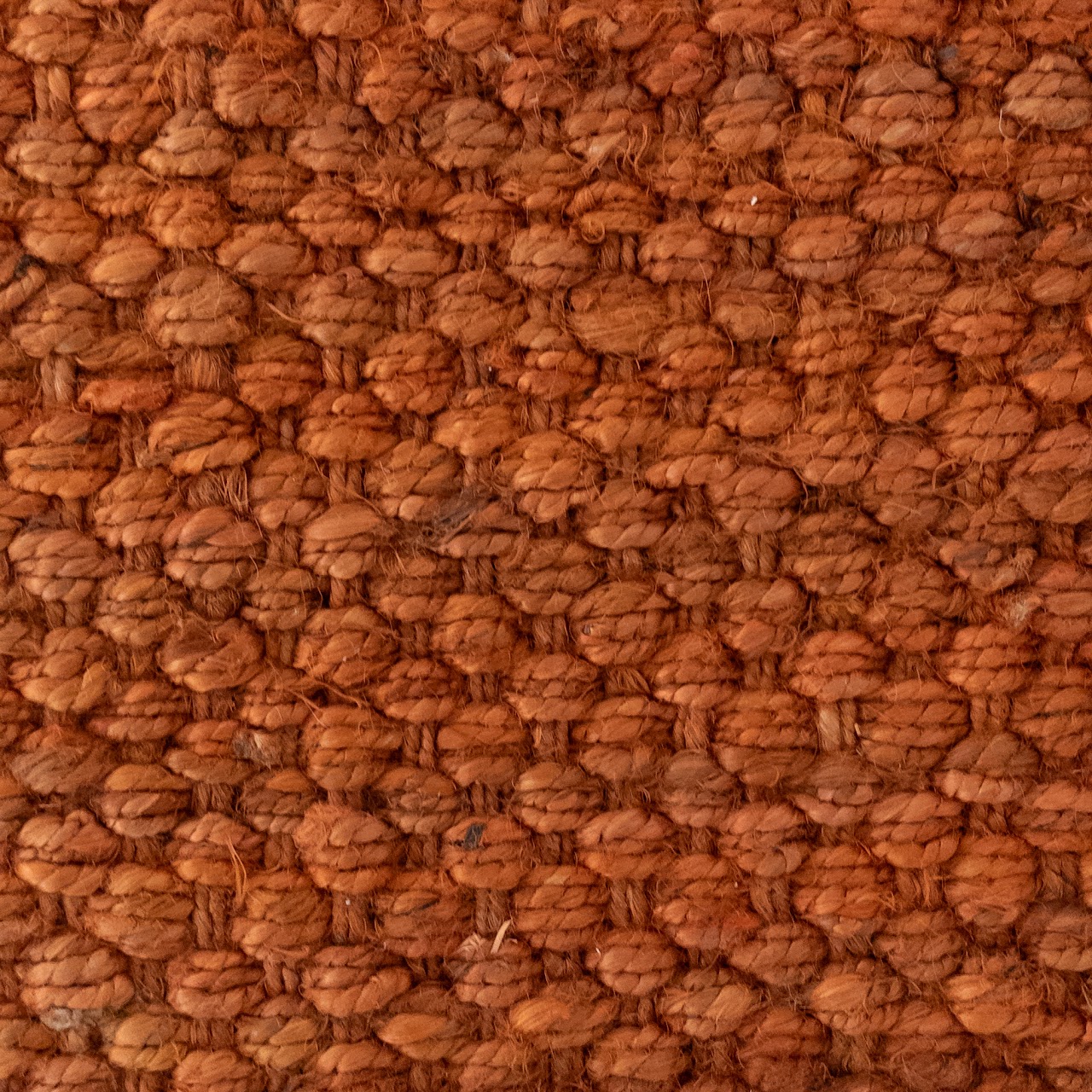 Woven Burnt Orange Jute Area Rug