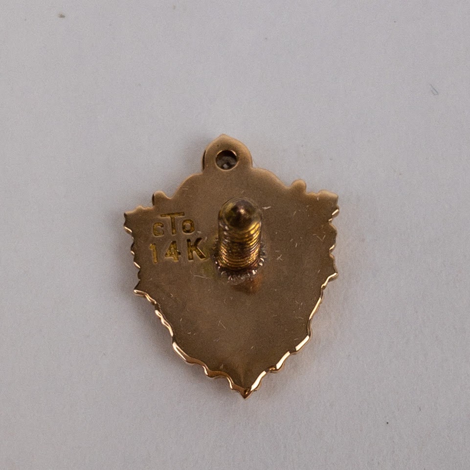 14K Gold & Diamond Ten-Year Pin