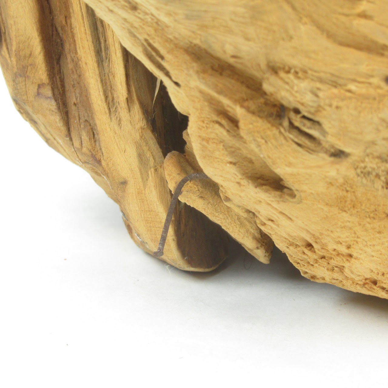 Raw Wood Specimen Vessel