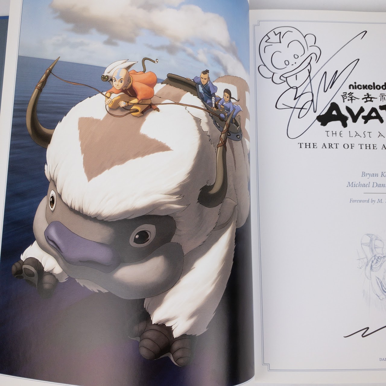 Avatar: The Last Airbender Signed Book