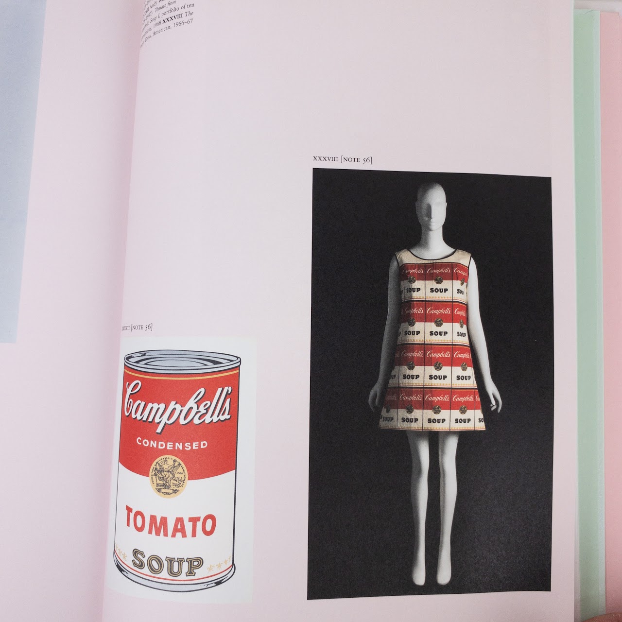 CAMP: Notes on Fashion Book