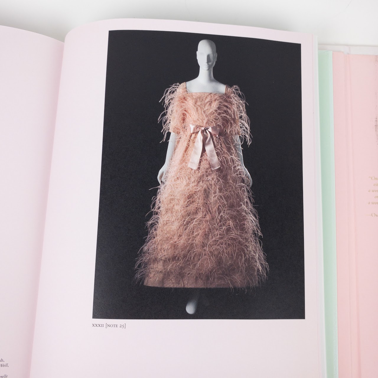 CAMP: Notes on Fashion Book