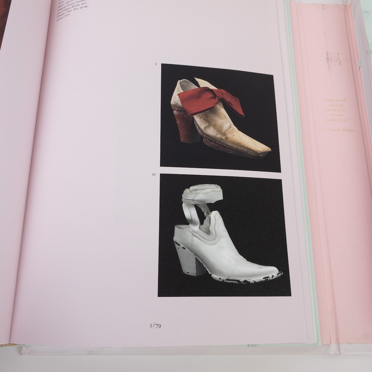 CAMP: Notes on Fashion Book