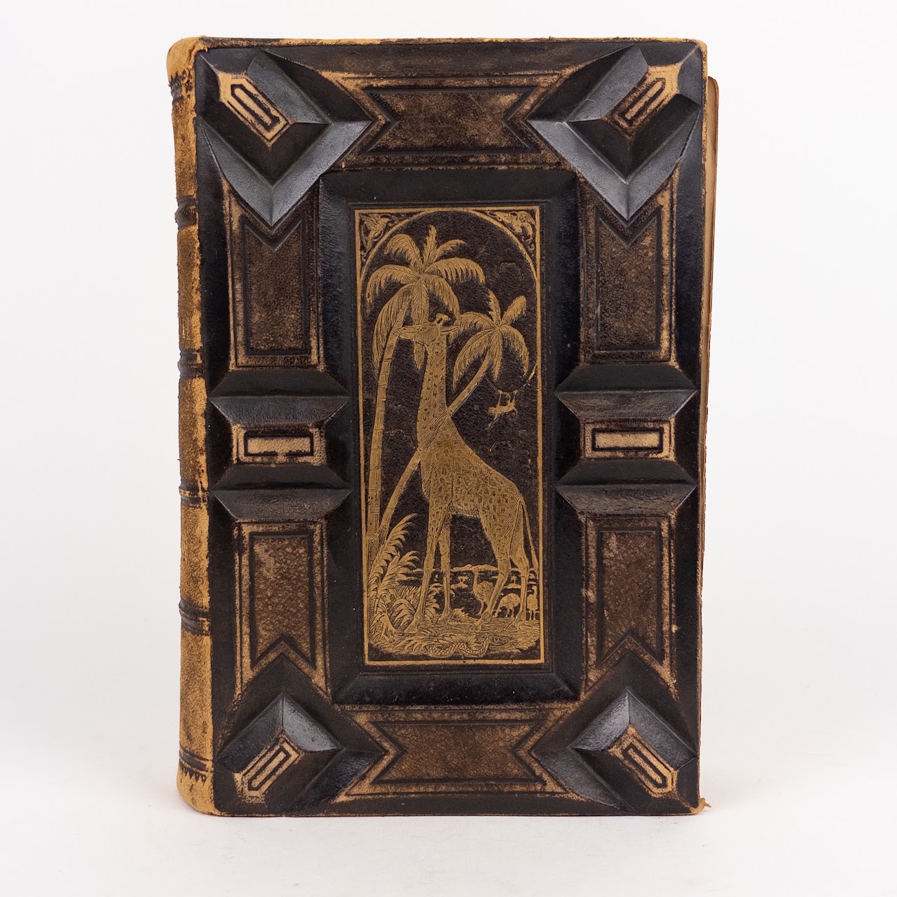 Rev. W.  Bingley: 'The Animal Kingdom' 19th C. Leather Bound Natural History Compendium