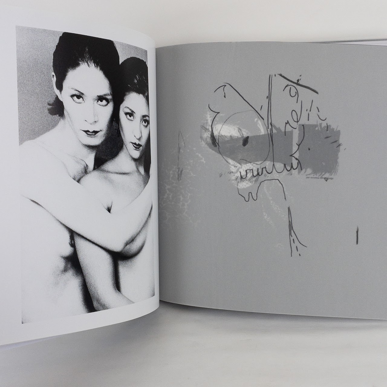 Erika Yasuda,  Julia Yasuda & Anohni 'She Who Saw Beautiful Things' Photo Essay Book