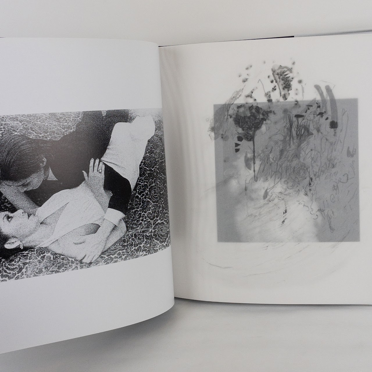 Erika Yasuda,  Julia Yasuda & Anohni 'She Who Saw Beautiful Things' Photo Essay Book