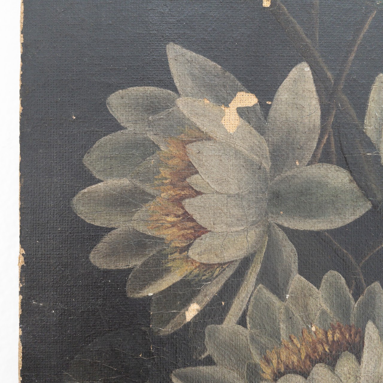 Lotus Blossoms Vintage Oil Painting