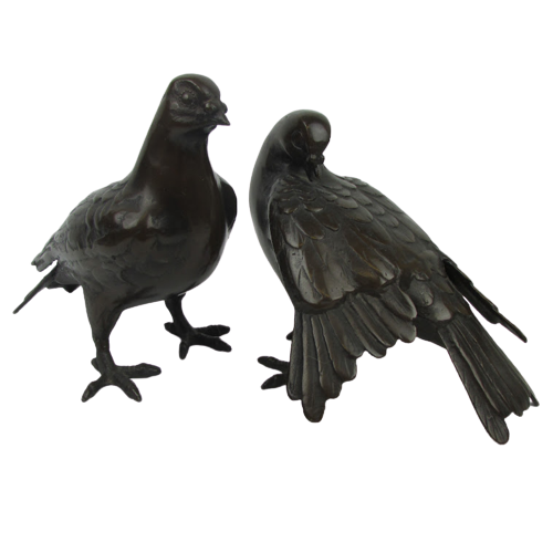 Bronze Pigeons Pair