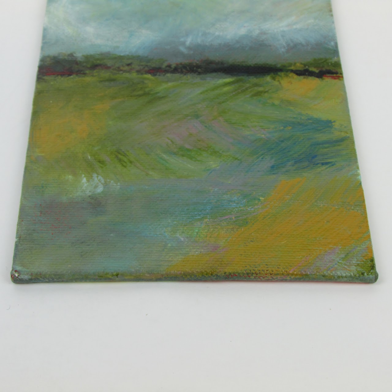 "Marine Park Salt Marsh, NYC" Small Painting