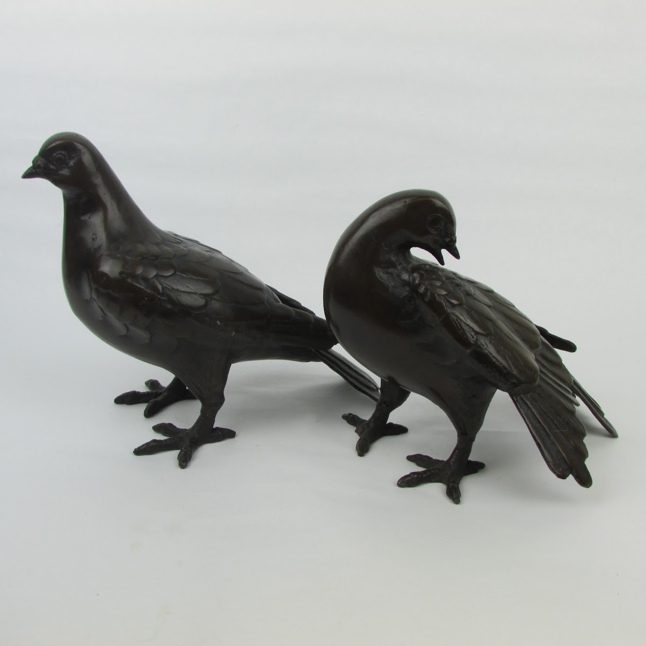 Bronze Pigeons Pair