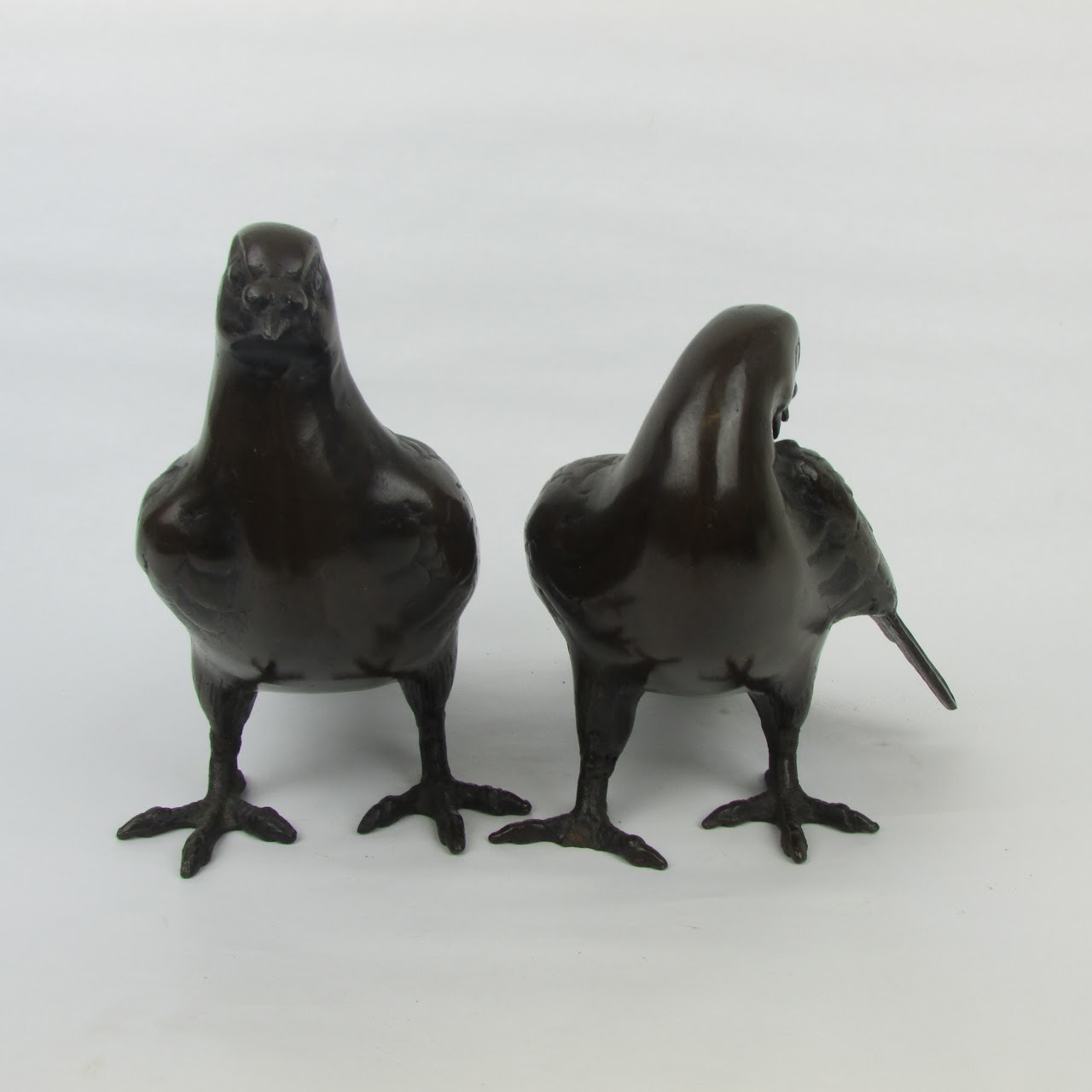 Bronze Pigeons Pair