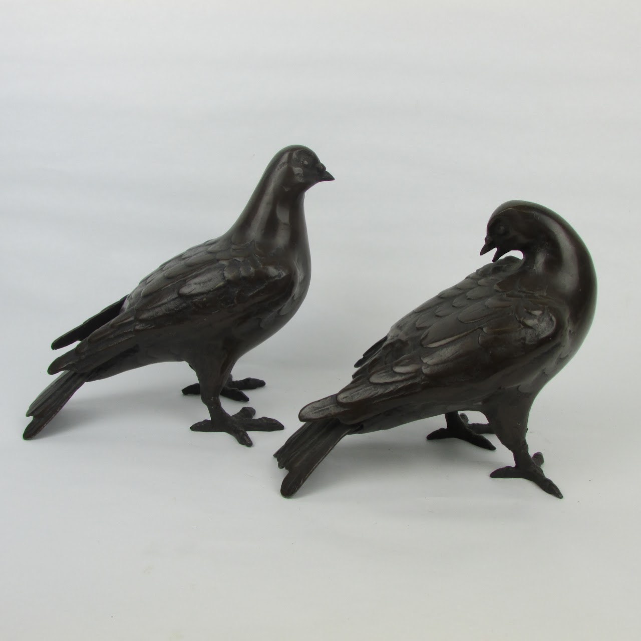 Bronze Pigeons Pair