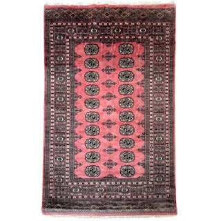 Pakistani Wool Bokhara Area Rug