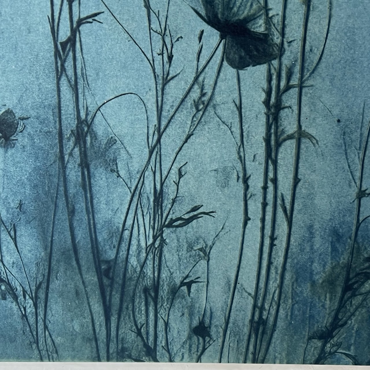 Susan Richman Blue Poppies Alternative Process Photograph