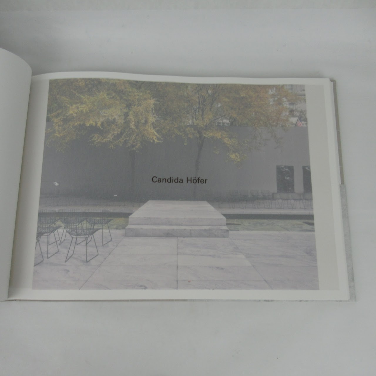 Oasis in the City: The Abby Aldrich Rockefeller Sculpture Garden at MOMA Book