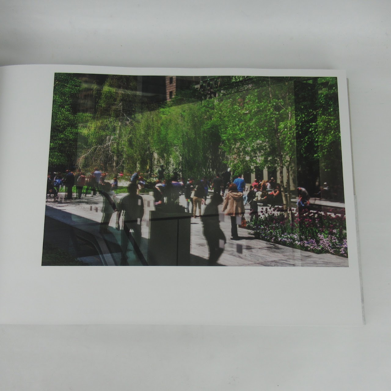 Oasis in the City: The Abby Aldrich Rockefeller Sculpture Garden at MOMA Book