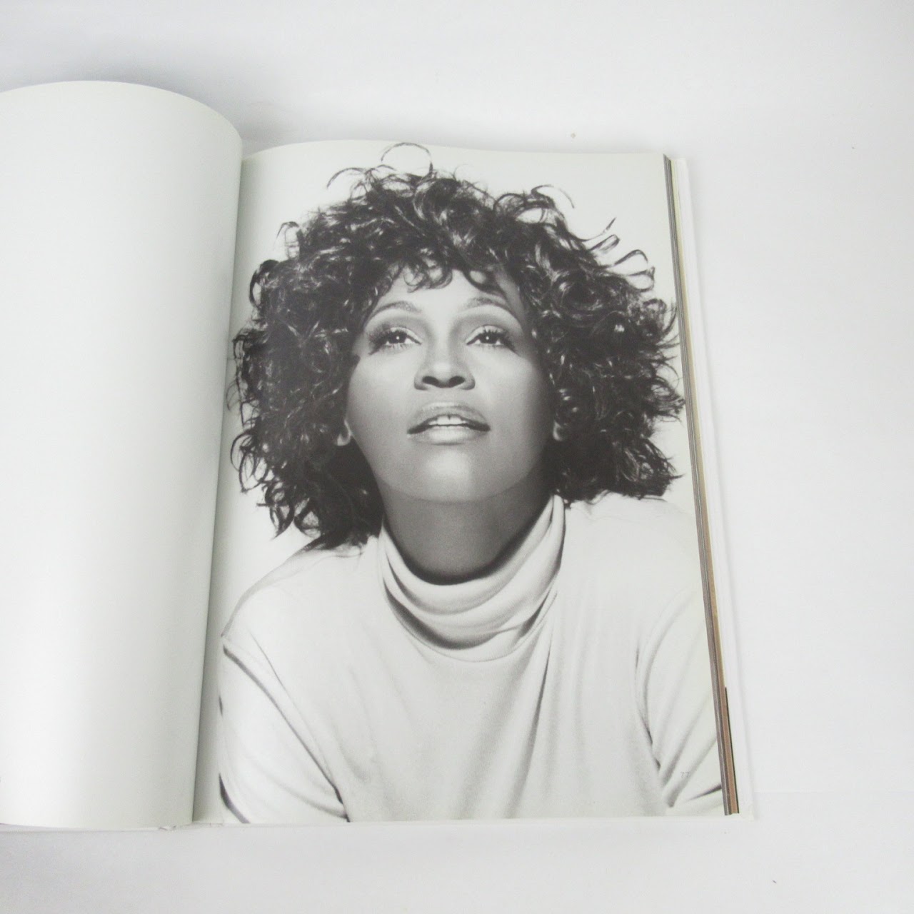 Whitney: Tribute To An Icon