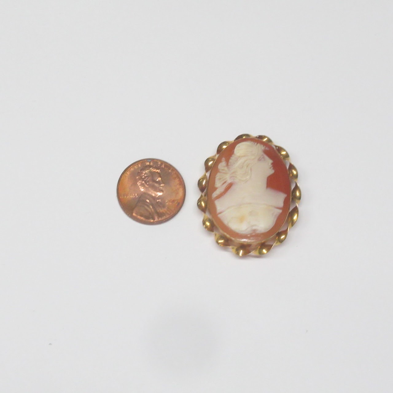 10K Gold & Carved Pink Shell Twisted Border Cameo