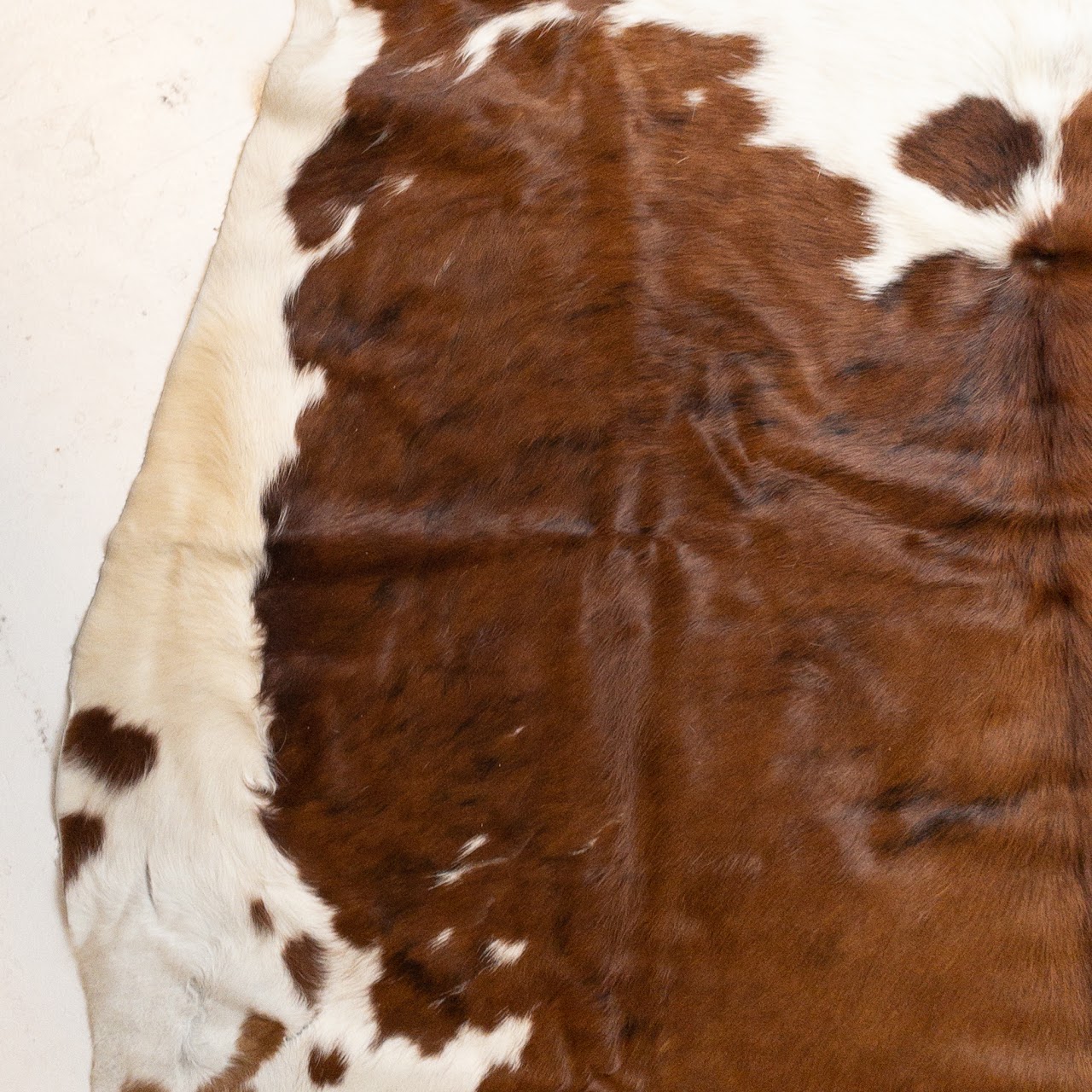 Cowhide Area Rug