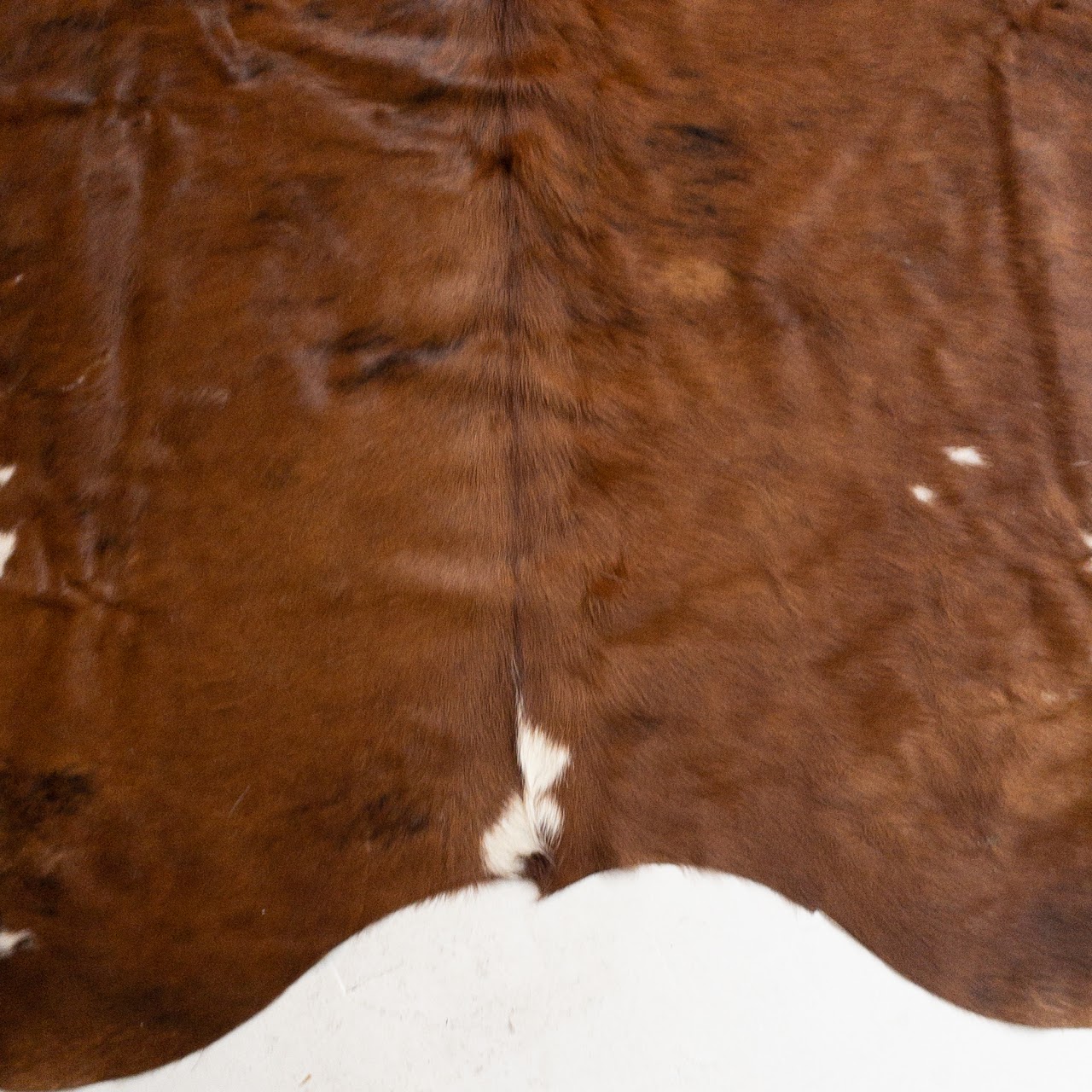 Cowhide Area Rug