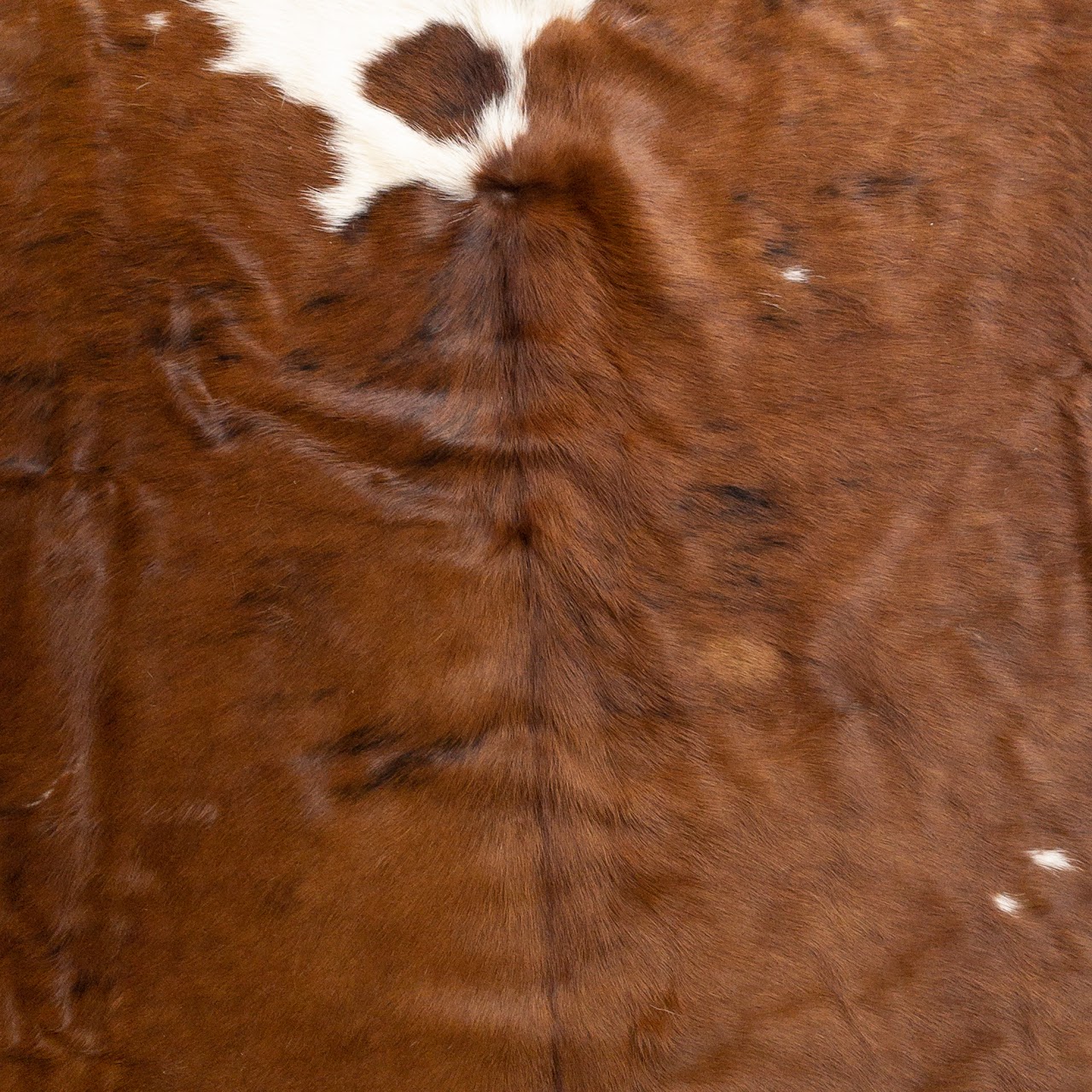 Cowhide Area Rug