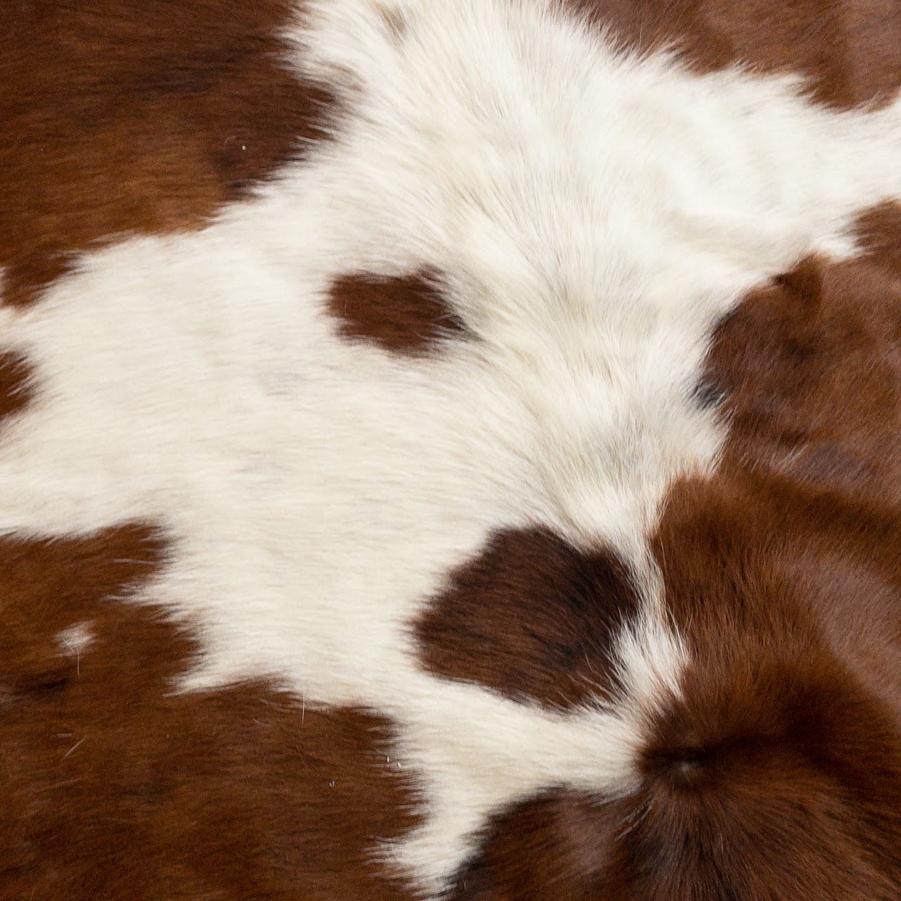 Cowhide Area Rug