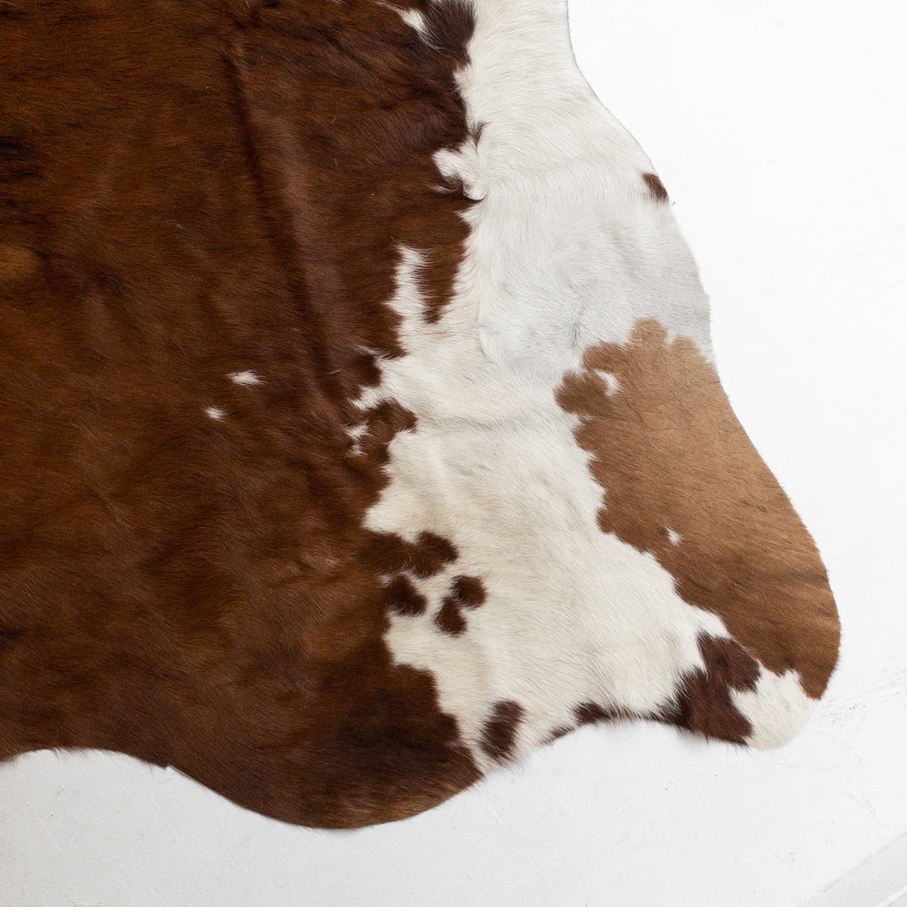 Cowhide Area Rug