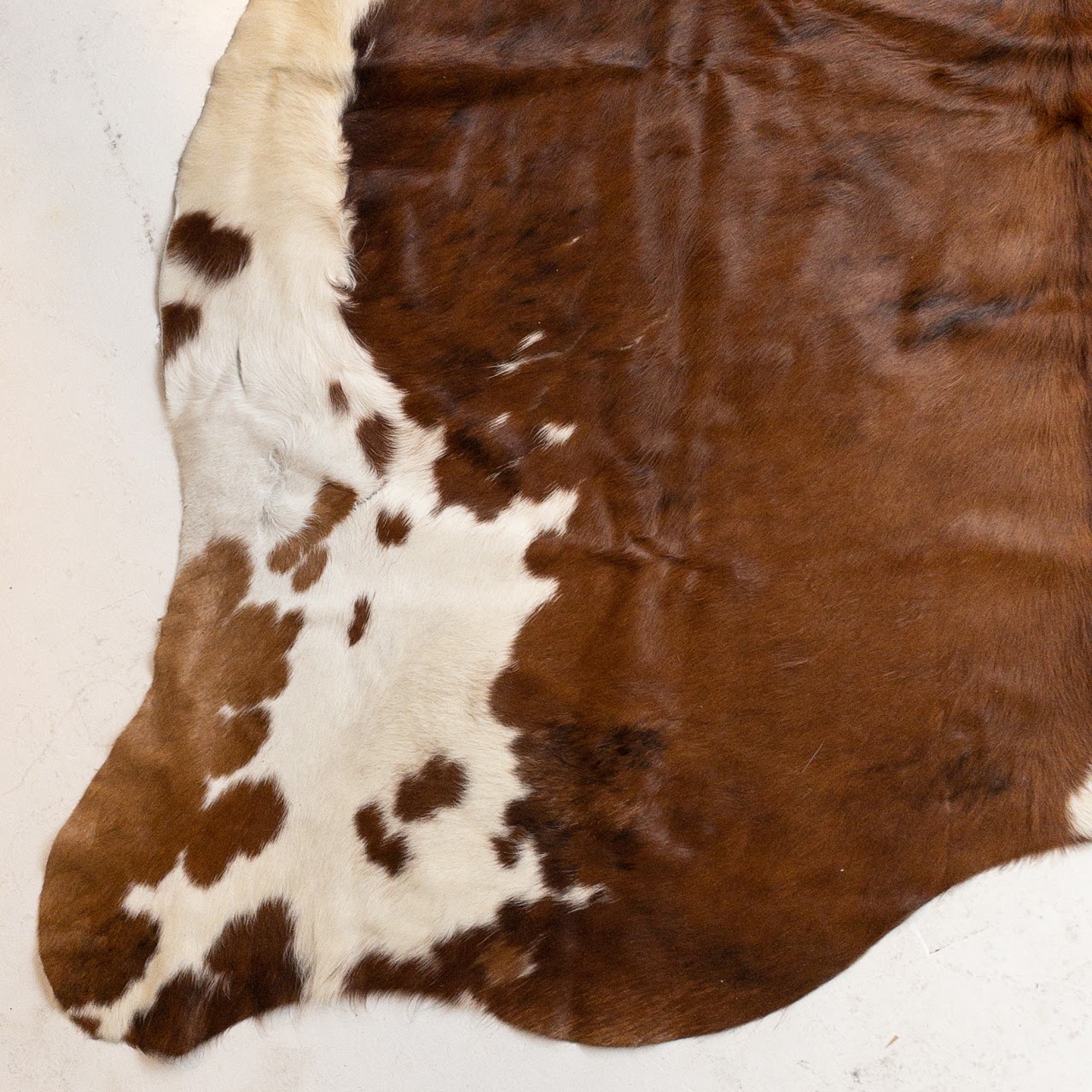 Cowhide Area Rug