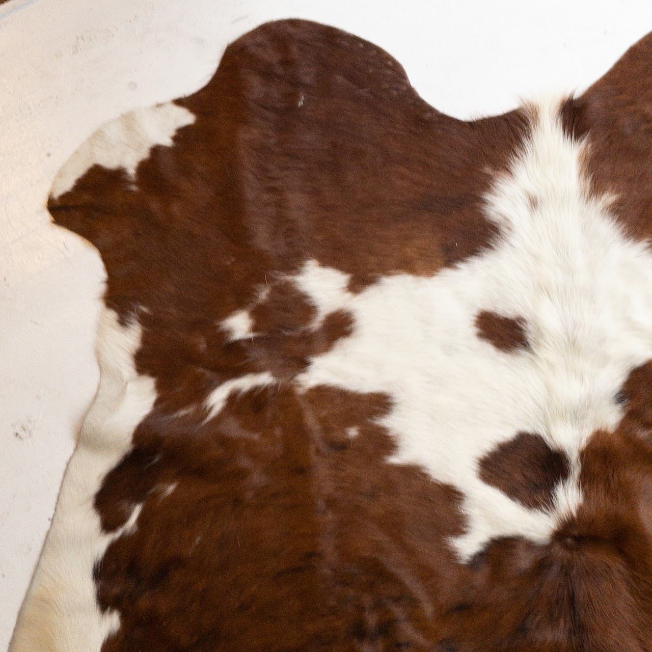 Cowhide Area Rug