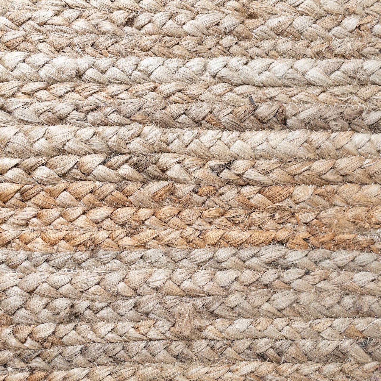 Sisal Braided Area Rug