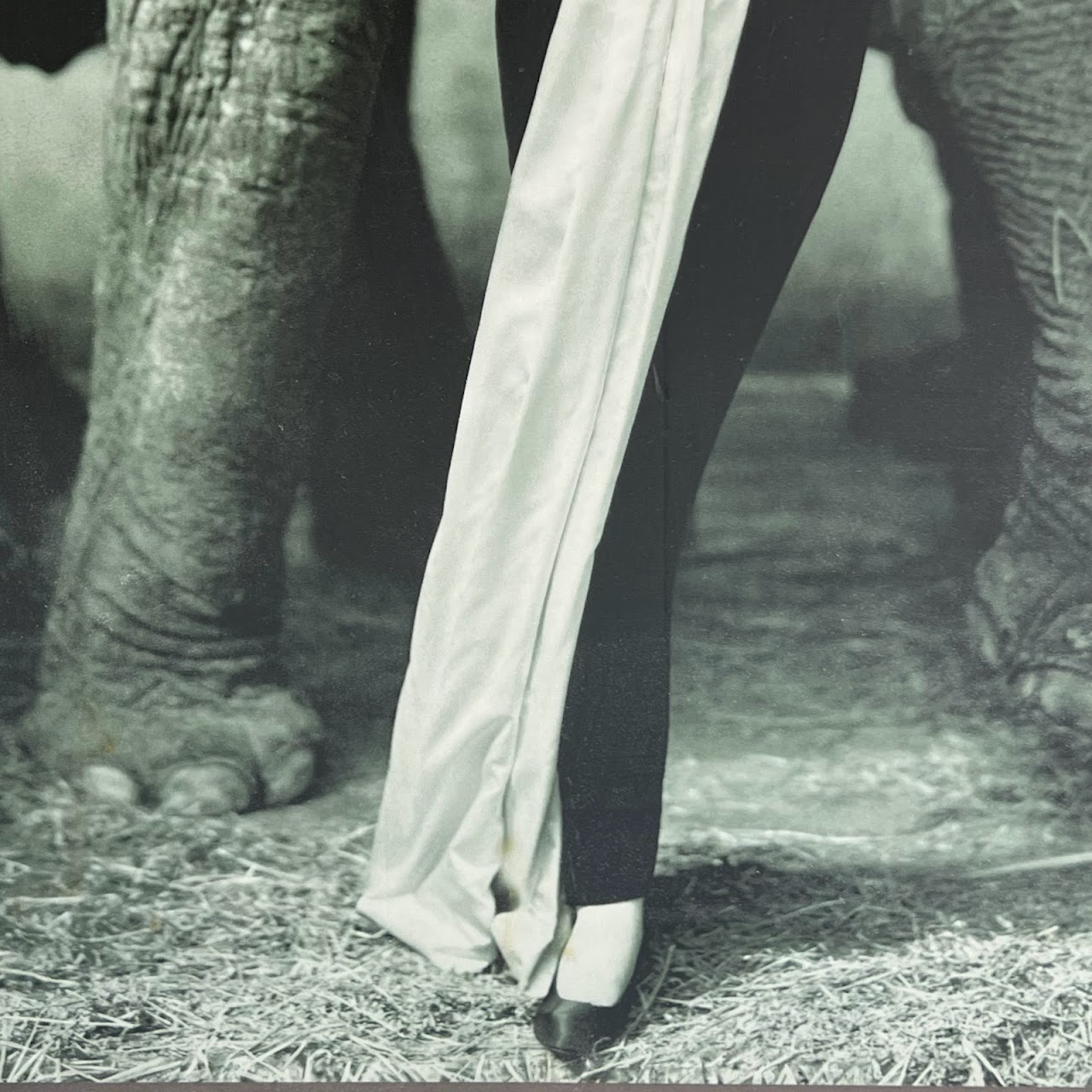 Richard Avedon 'Dovima with the Elephants' MMA 1978 Exhibition Poster