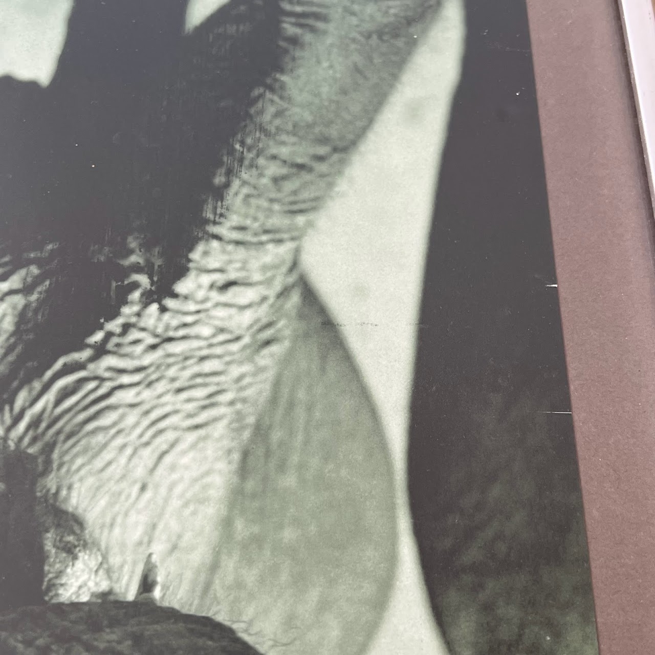 Richard Avedon 'Dovima with the Elephants' MMA 1978 Exhibition Poster