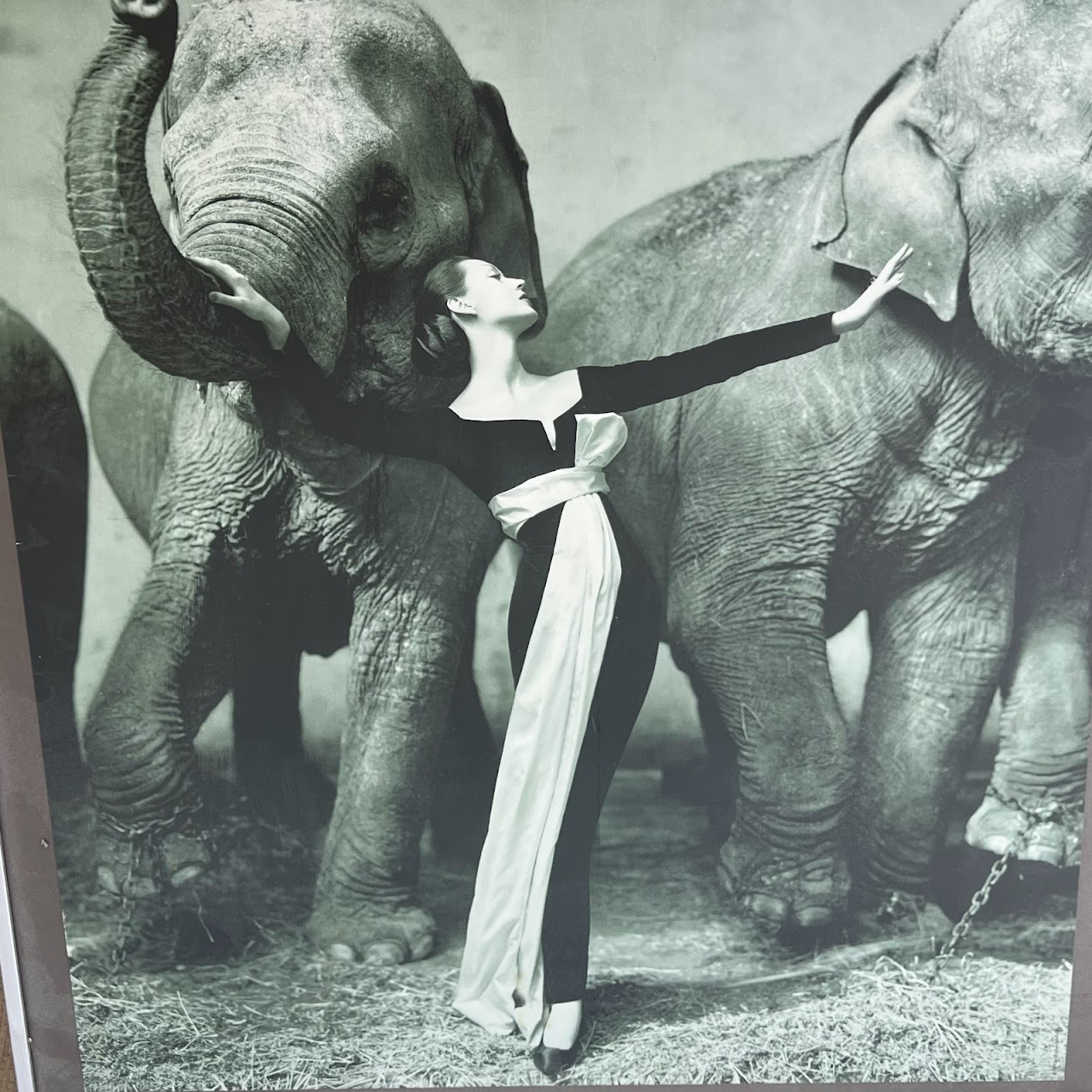 Richard Avedon 'Dovima with the Elephants' MMA 1978 Exhibition Poster