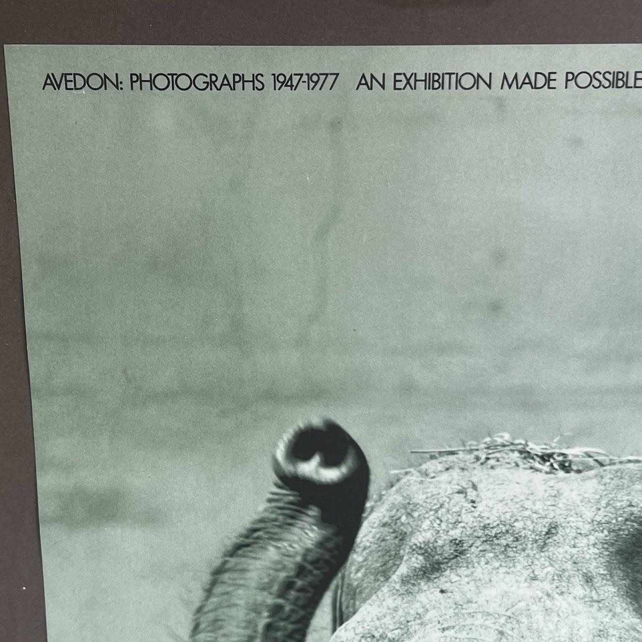 Richard Avedon 'Dovima with the Elephants' MMA 1978 Exhibition Poster