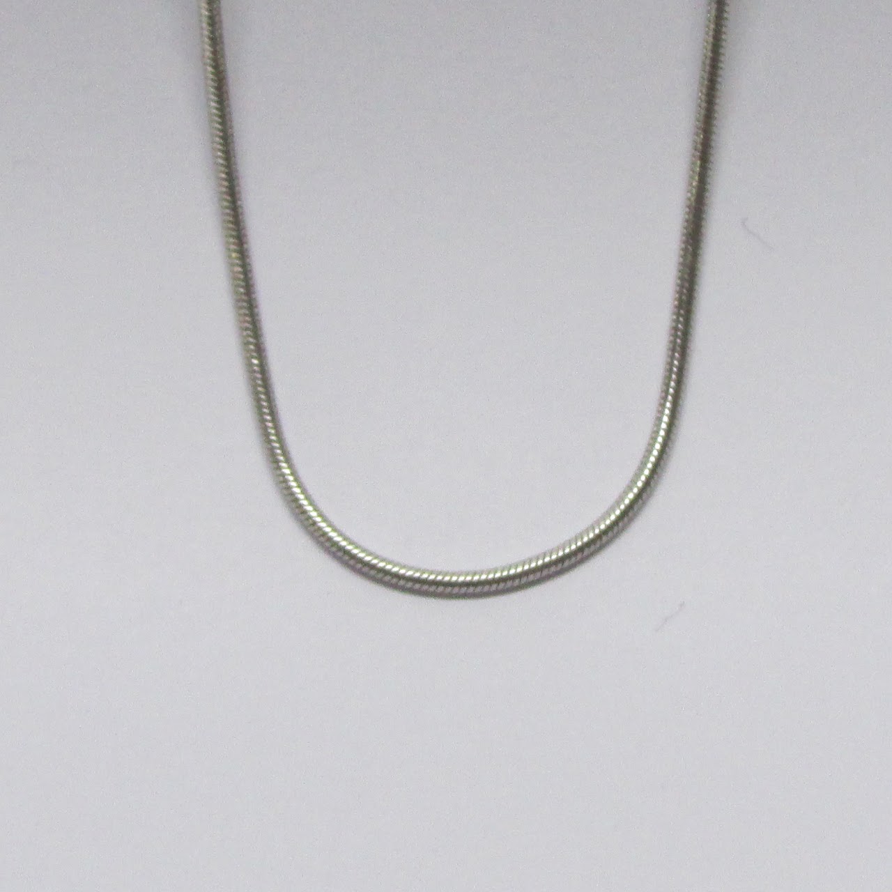 14K White Gold Snake Chain Necklace