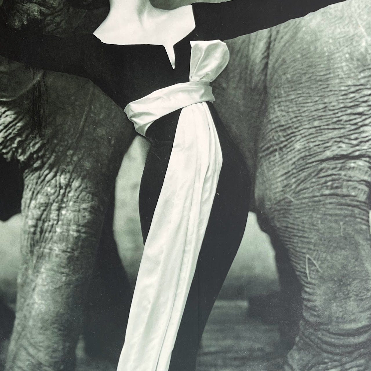 Richard Avedon 'Dovima with the Elephants' MMA 1978 Exhibition Poster