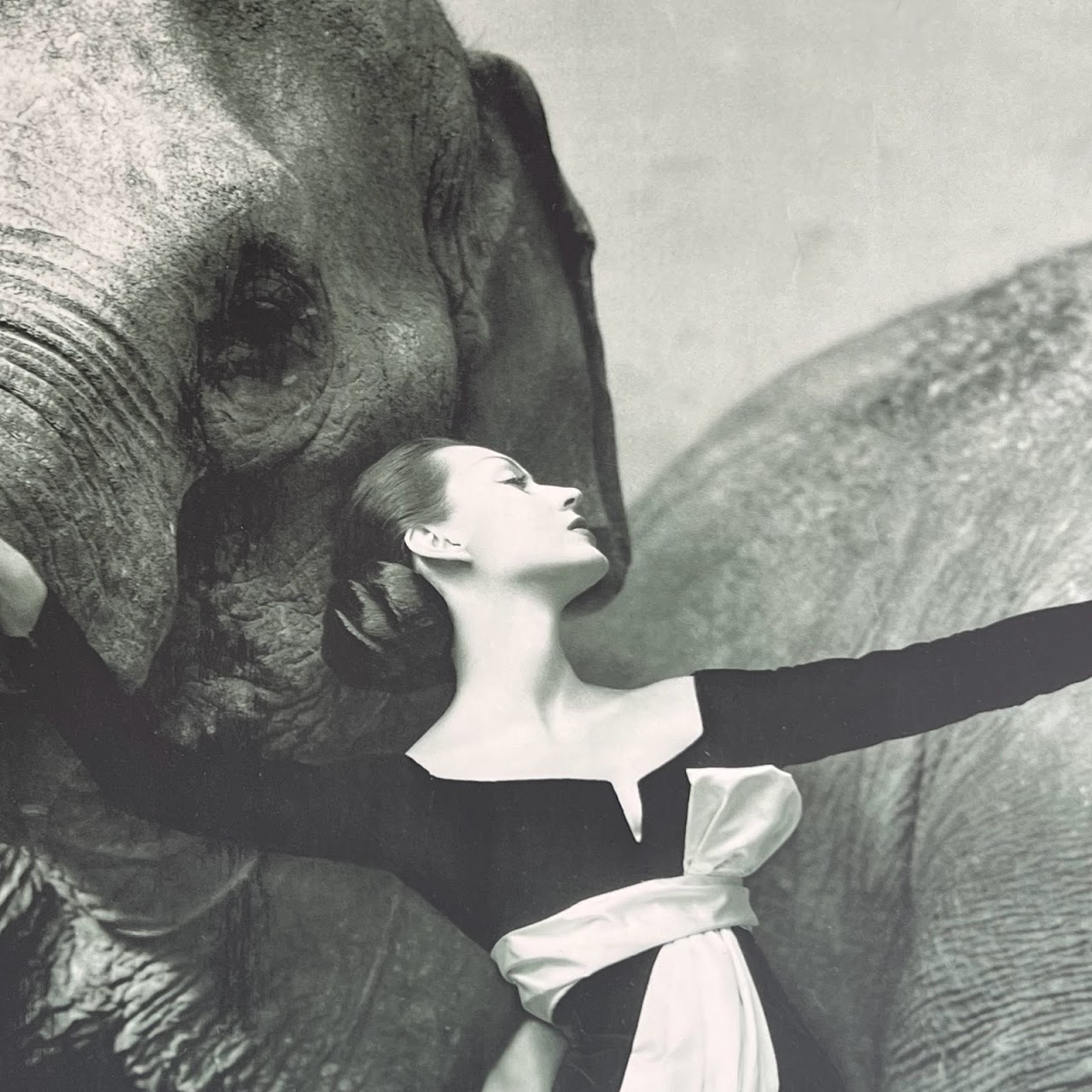 Richard Avedon 'Dovima with the Elephants' MMA 1978 Exhibition Poster