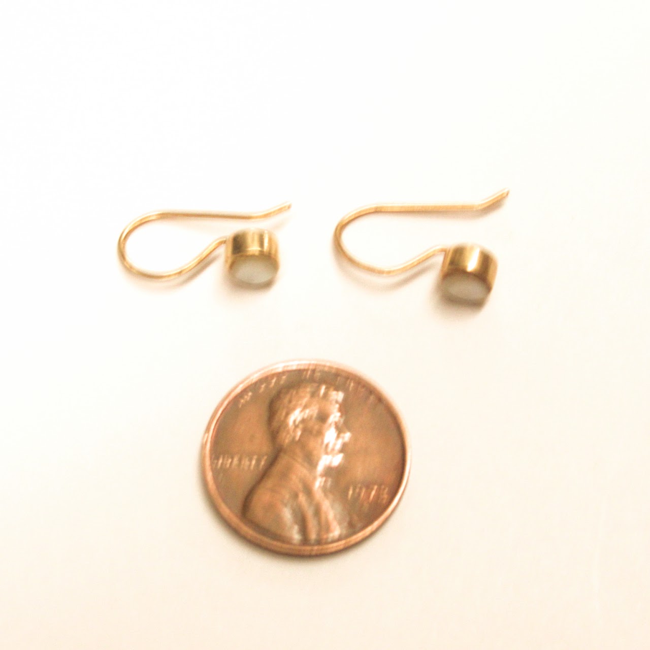 14K Gold & Nacre Earrings