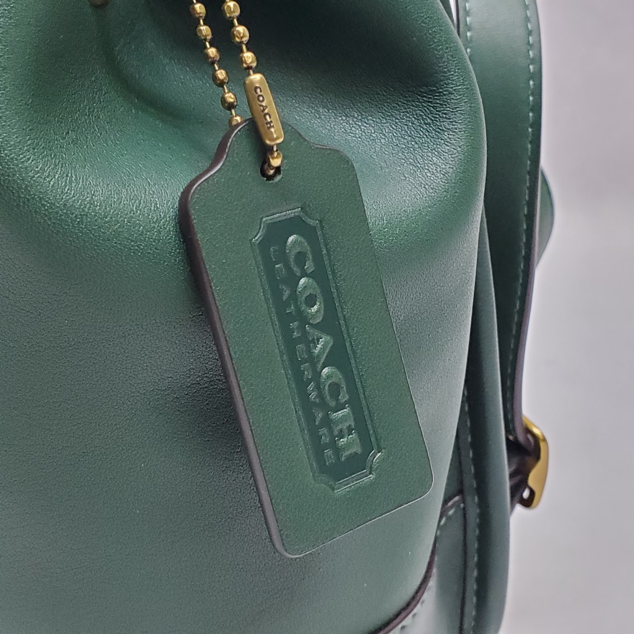 Coach MINT Limited Edition Daypack Backpack