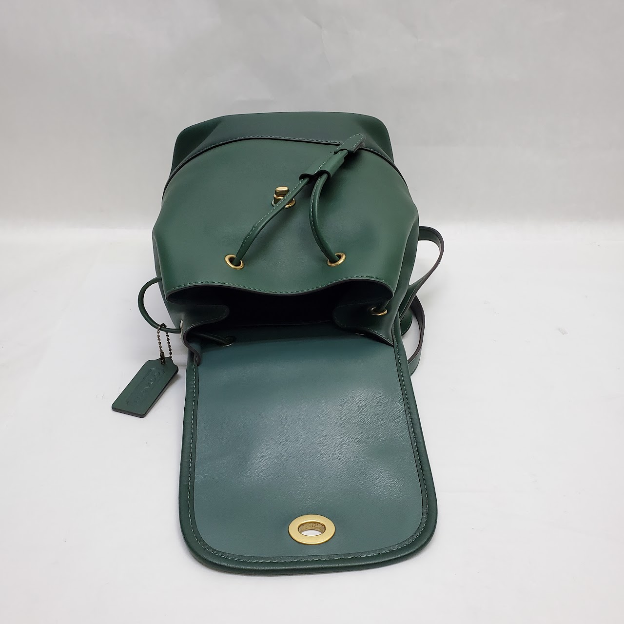 Coach MINT Limited Edition Daypack Backpack