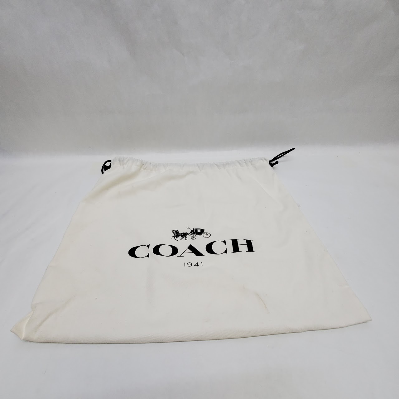 Coach MINT Limited Edition Daypack Backpack