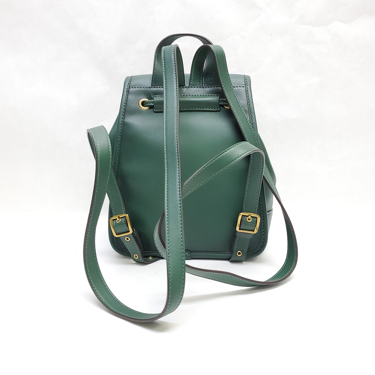 Coach MINT Limited Edition Daypack Backpack