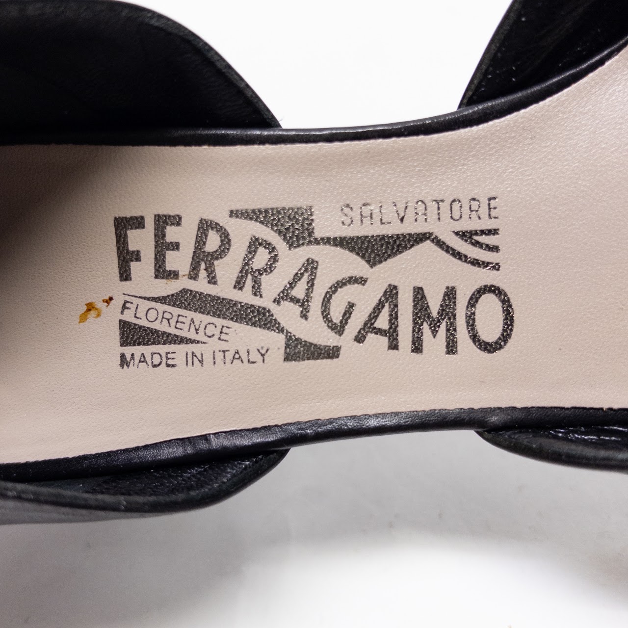 Salvatore Ferragamo Magnifica Pumps