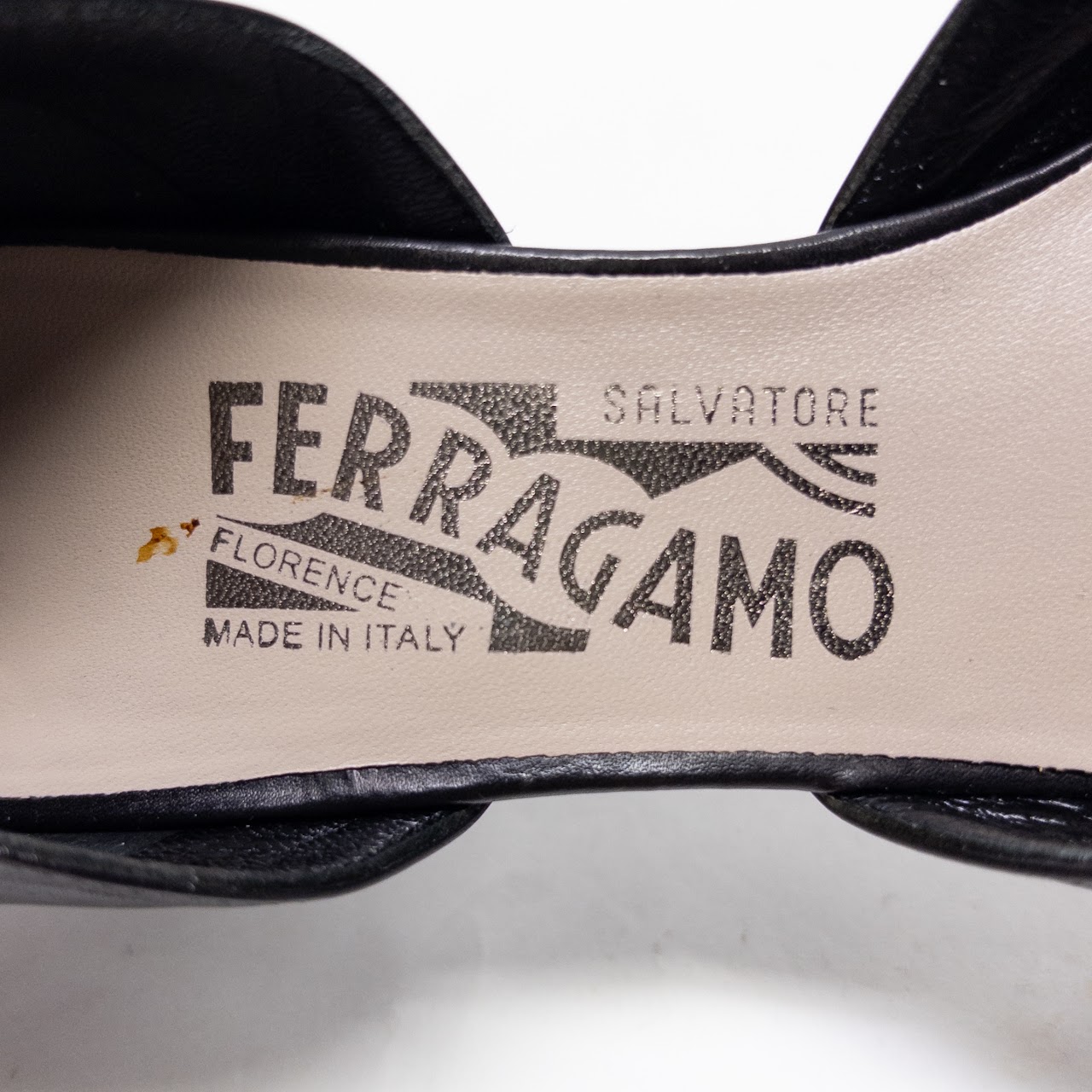 Salvatore Ferragamo Magnifica Pumps