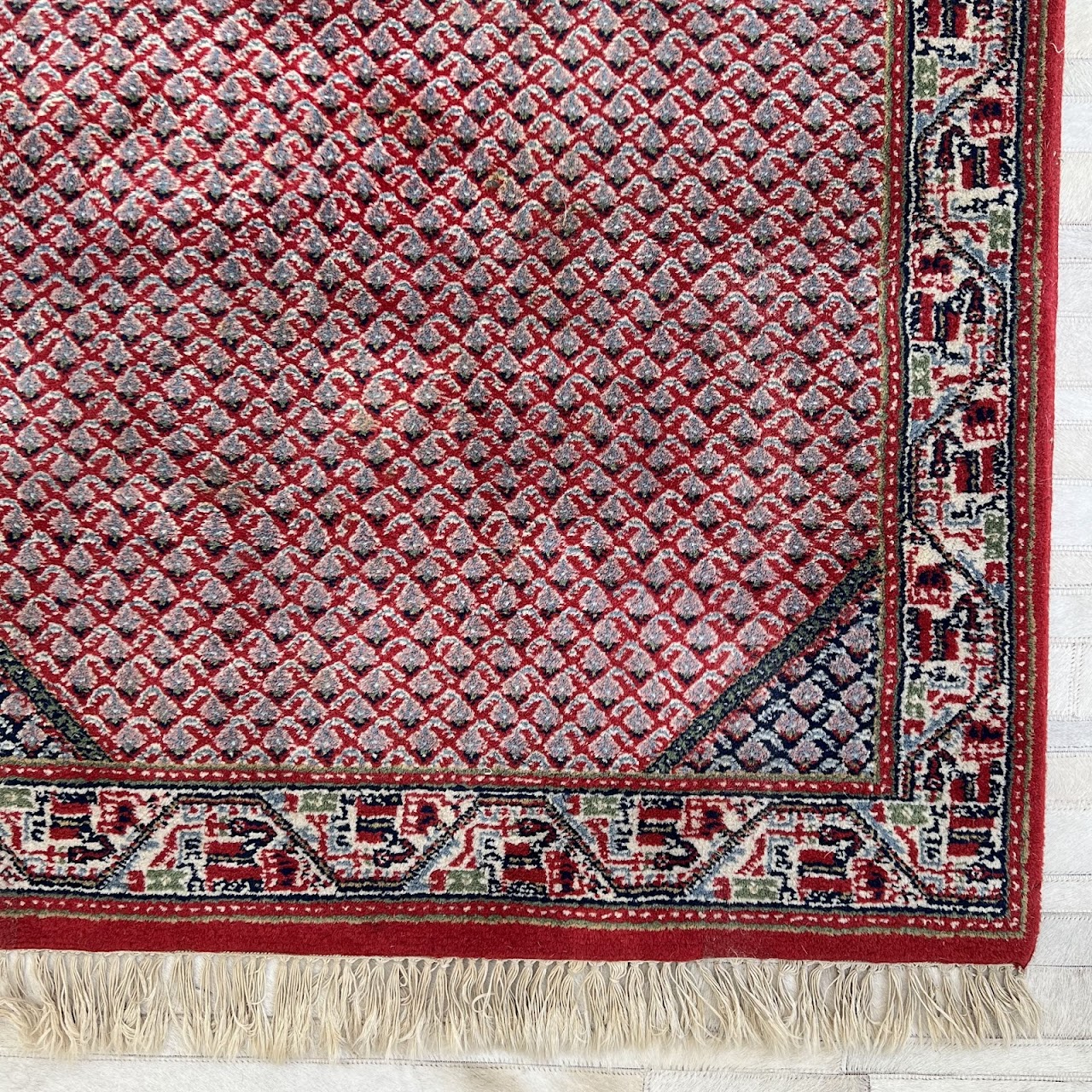 Indian Saraband Wool Area Rug