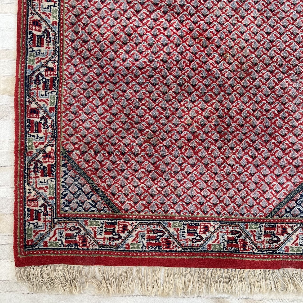 Indian Saraband Wool Area Rug