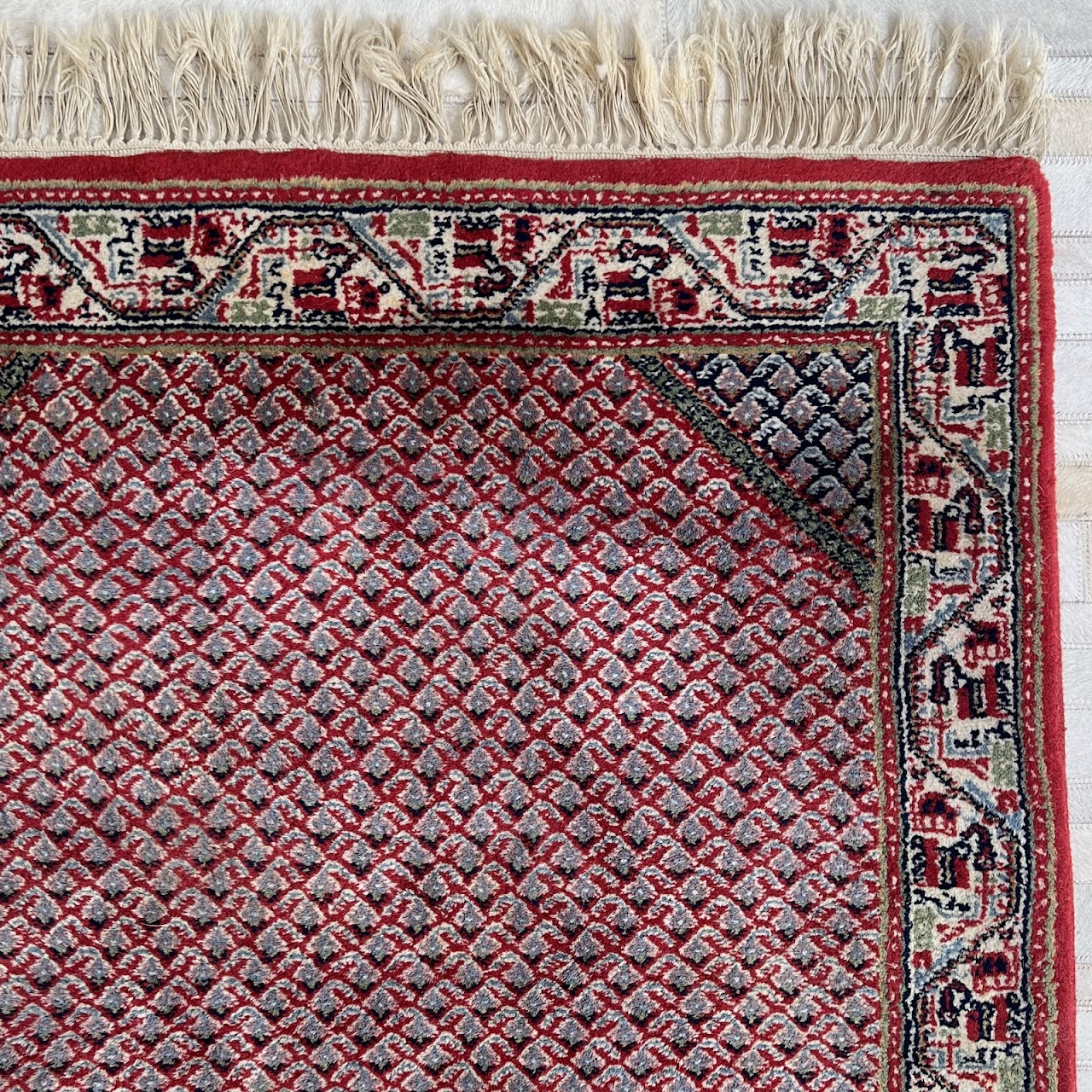 Indian Saraband Wool Area Rug