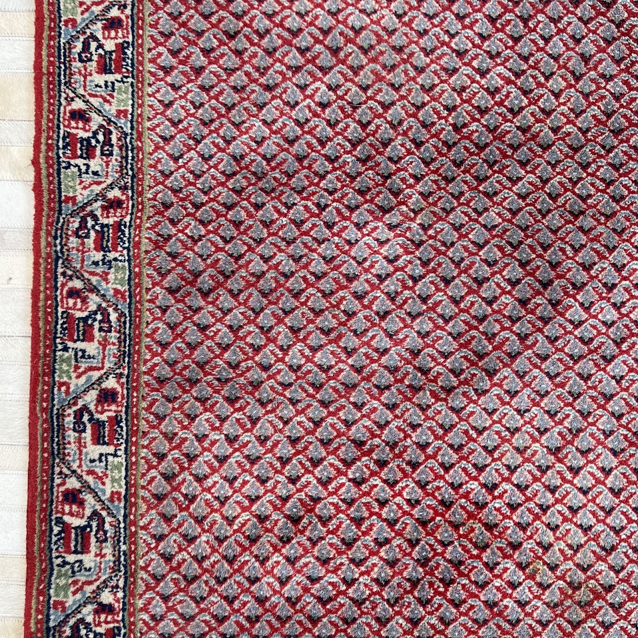 Indian Saraband Wool Area Rug